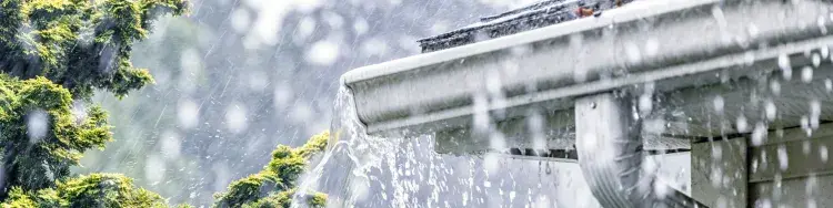 Wise Is as Wise Does