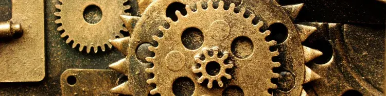 Chance, Evolution, or Intelligent Design?