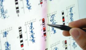 The Language of DNA