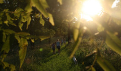 gente feliz en la naturaleza